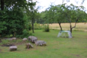 Bild 8: Holzhaus wo der Elch wohnt in Ekshärad Värmland, Mittelschweden, Ruderboot