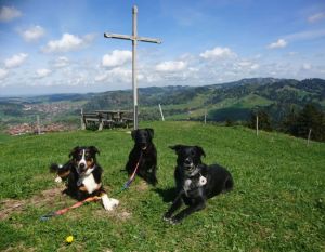 Bild 13: Ferienwohnung Kira, nur mit Hund im Allgäu. Haus Christl Cranz / Steibis