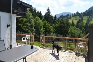 Bild 9: Ferienwohnung Kira, nur mit Hund im Allgäu. Haus Christl Cranz / Steibis