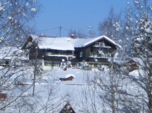 Bild 6: Ferienwohnung Köbi, nur mit Hund im Allgäu. Haus Christl Cranz Steibis
