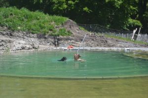 Bild 15: Ferienwohnung Paula, nur mit Hund, Haus Christl Cranz in Steibis im Allgäu