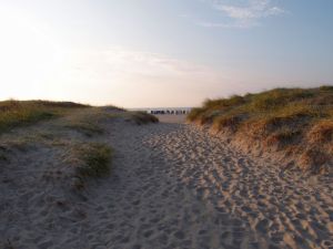 Bild 23: Ferienhaus "Im Möwennest", am Rand zu Norddeich für 6 Personen, Norden