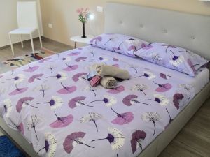 Bild 3: Nette FEWO in Cassone/ Malcesine 2/1 Personen