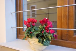 Bild 6: Nette FEWO in Cassone/ Malcesine 2/1 Personen