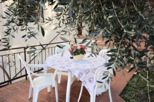 Bild 17: Nette FEWO in Cassone/ Malcesine 2/1 Personen