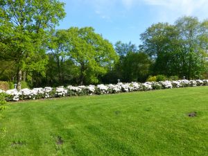 Bild 13: Lindenhof Dangast an der Nordsee Wohnung 3