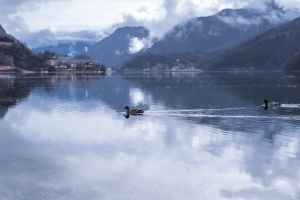 Bild 12: Ferienwohnung Valentina mit eingezäunte Terrasse am Ledrosee