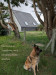 F116w Haus Sandrine - Ferienhäuschen am Strand! Hunde sind willkommen