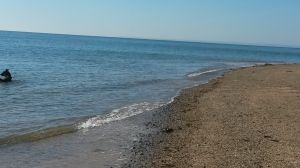 Bild 12: F116w Haus Sandrine - Ferienhäuschen am Strand! Hunde sind willkommen