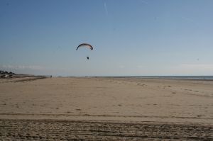 Bild 13: F116w Haus Sandrine - Ferienhäuschen am Strand! Hunde sind willkommen