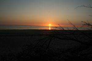 Bild 17: F116w Haus Sandrine - Ferienhäuschen am Strand! Hunde sind willkommen