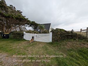 Haus mit eingezäunten Garten unweit des kilometerlangen Sandstrands - Bild 2: F116w Haus Sandrine - Ferienhäuschen am Strand! Hunde sind willkommen
