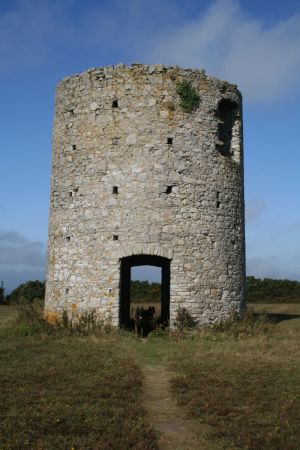 Bild 13: F116d Ferienhaus "Fanny" am Strand mit eingezäunten Garten in der Normandie