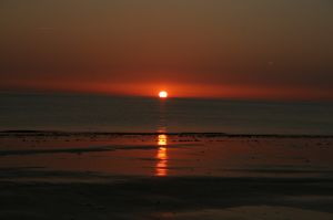Bild 18: F116d Ferienhaus "Fanny" am Strand mit eingezäunten Garten in der Normandie