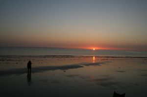 Bild 24: F116e Sonne, Strand und Meer! Hunde willkommen! Ferienhaus Valerie