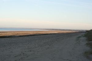 Bild 16: F116e Sonne, Strand und Meer! Hunde willkommen! Ferienhaus Valerie