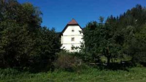 Bild 1: Der "Turm"! Hundefreundlich und eingezäunt. Mit eigener Sauna