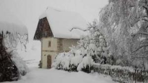 Bild 2: Der "Turm"! Hundefreundlich und eingezäunt. Mit eigener Sauna