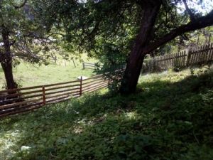 Bild 15: Der "Turm"! Hundefreundlich und eingezäunt. Mit eigener Sauna