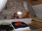 Bild 11: Der "Turm"! Hundefreundlich und eingezäunt. Mit eigener Sauna