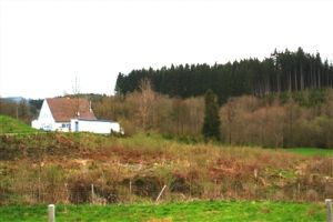 Bild 2: Ferienhaus "Conny" mit Sauna und komplett eingezäunten Garten