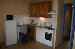 Bild 4: F115b Haus am kilometerlangen Strand. Hunde willkommen! Eingez. Garten