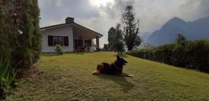 Bild 3: I17p Haus Oskar direkt am Idrosee gelegen mit eigenem Garten