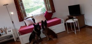 Bild 5: I17p Haus Oskar direkt am Idrosee gelegen mit eigenem Garten