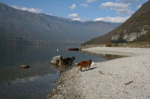 Bild 13: I17p Haus Oskar direkt am Idrosee gelegen mit eigenem Garten