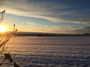Auf der Westseite überraschen zur jeden Jahreszeit traumhafte Sonnenuntergänge. - Bild 20: Urlaub mit Hund in Ostseenähe - komplett eingezäunter Garten