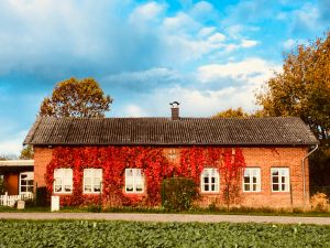 Die rechte Haushälfte ist das Ferienhaus mit separatem Eingang. - Bild 2: Urlaub mit Hund in Ostseenähe - komplett eingezäunter Garten