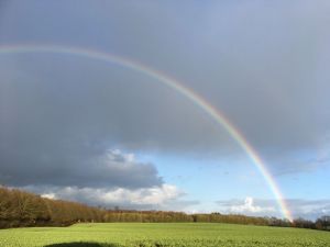 Nach einem Regenschauer zeigt sich oft ein Regenbogen auf der Ostseite. - Bild 18: Urlaub mit Hund in Ostseenähe - komplett eingezäunter Garten