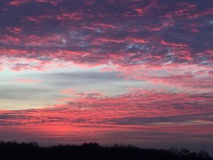 Der Sonnenaufgang ist im Winter besonders farbenfroh. Aufnahme vom Januar 2024, Ostseite. - Bild 19: Urlaub mit Hund in Ostseenähe - komplett eingezäunter Garten