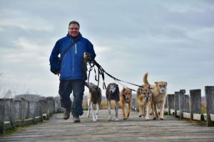 Ab dem 3. Hund wird um Rücksprache gebeten. Im Haus befindet sich eine Wasserschüssel. - Bild 25: Urlaub mit Hund in Ostseenähe - komplett eingezäunter Garten
