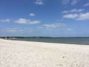 Mit ca. 12 Autominuten ist man am Hundestrand in Haffkrug. Aufgenommen im Mai 2023. - Bild 27: Urlaub mit Hund in Ostseenähe - komplett eingezäunter Garten