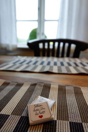 Bild 15: Urlaub mit Hund in Ostseenähe - komplett eingezäunter Garten