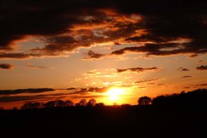 Je nach Wetterlage und Jahreszeit können vom Ferienhaus aus traumhafte Sonnenauf- und untergänge beobachtet werden. Bild vom Januar 2022. - Bild 21: Urlaub mit Hund in Ostseenähe - komplett eingezäunter Garten