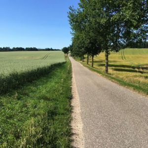 Das Ferienhaus liegt äußerst ruhig. Keine Durchgangsstrasse. - Bild 3: Urlaub mit Hund in Ostseenähe - komplett eingezäunter Garten