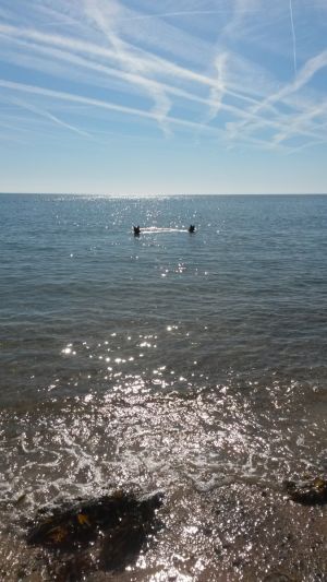 Bild 18: F116k herrlich gelegenes Ferienhaus Turi mit eingezäunten Garten