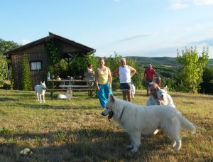Bild 28: Wellness-, Wander- und Familienurlaub im aufwendig renovierten Landhaus
