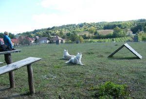 Bild 18: Wellness-, Wander- und Familienurlaub im aufwendig renovierten Landhaus