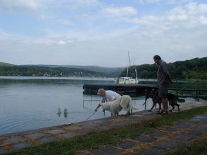 Bild 26: Wellness-, Wander- und Familienurlaub im aufwendig renovierten Landhaus