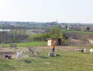 Bild 19: Wellness-, Wander- und Familienurlaub im aufwendig renovierten Landhaus