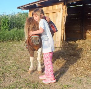 Bild 20: Wellness-, Wander- und Familienurlaub im aufwendig renovierten Landhaus