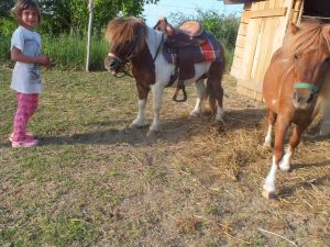 Bild 21: Wellness-, Wander- und Familienurlaub im aufwendig renovierten Landhaus