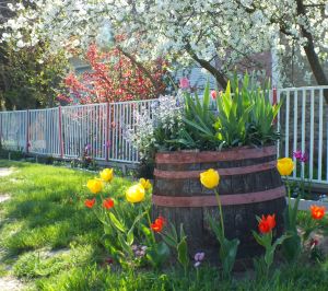 Bild 1: Wellness-, Wander- und Familienurlaub im aufwendig renovierten Landhaus