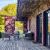 Galeriebild 2