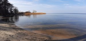 Bild 16: P104a Ferienhaus Mikosch mit eingezäunten Garten fußläufig zum Wasser