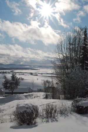 Bild 10: Ferienhaus Meiß Öfingen
