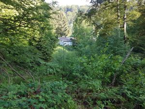 Von einer Hunderunde um das Haus können Sie Ihre Unterkunft bewundern - Bild 12: Vollausgestattetes Ferienhaus im Pfälzer Wald zur Alleinnutzung